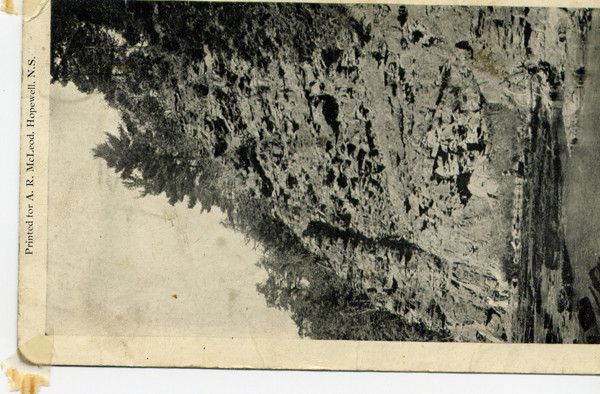 File0011 361