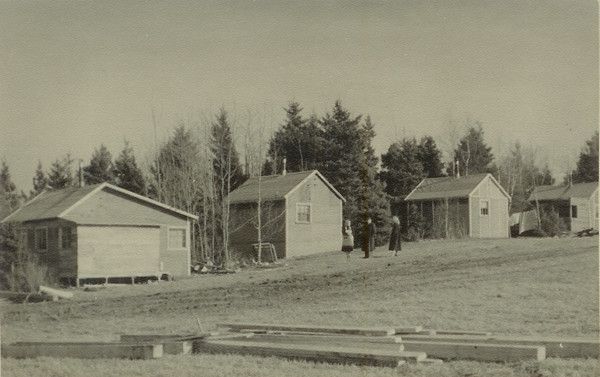 THE ESTONIANS 05 290