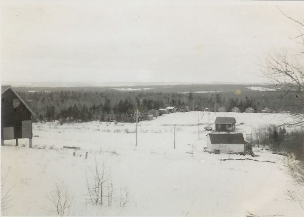 THE ESTONIANS 08 293