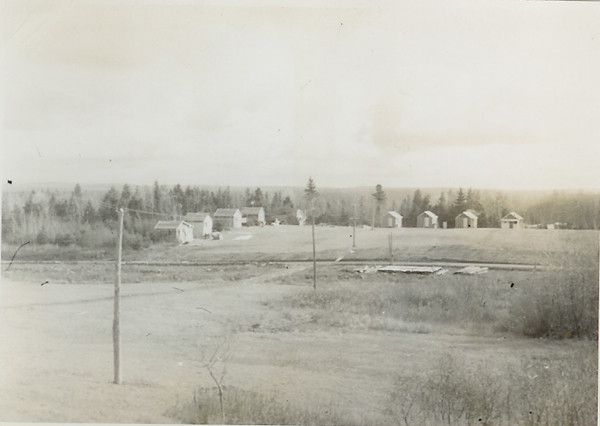 THE ESTONIANS 09 294