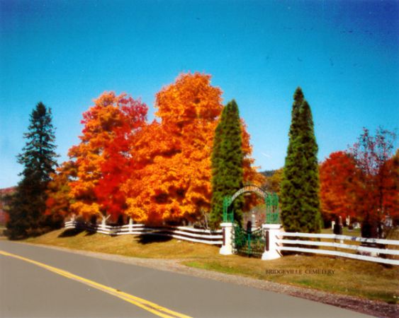 Bridgeville Cemetary01 31