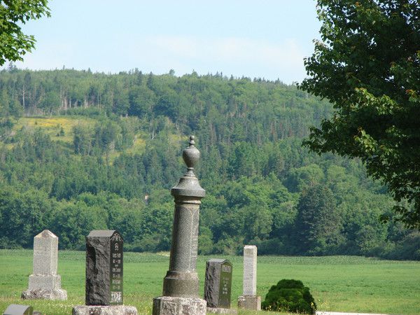 the east river valley 11616 27