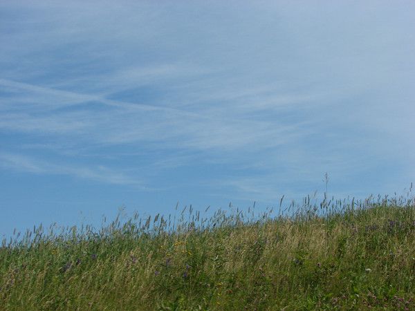 the east river valley 20123 80