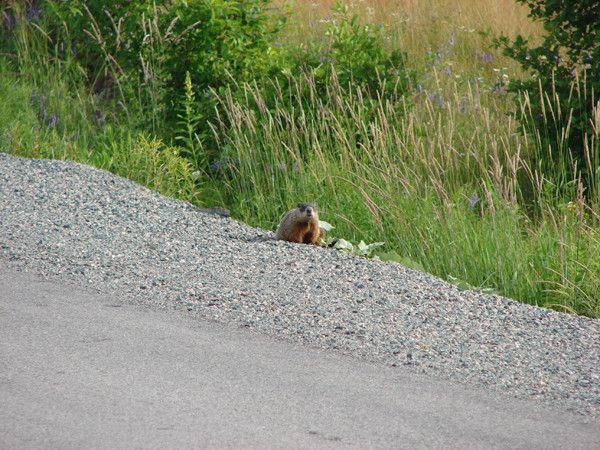 the east river valley 07001 114