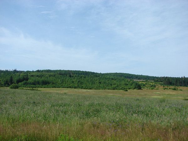 the east river valley 12017 130