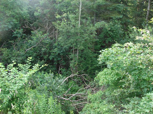 the east river valley 05716 202