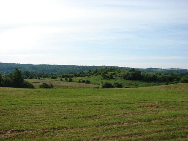 the east river valley 06019 205