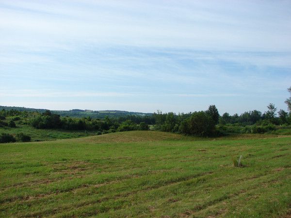 the east river valley 06120 206