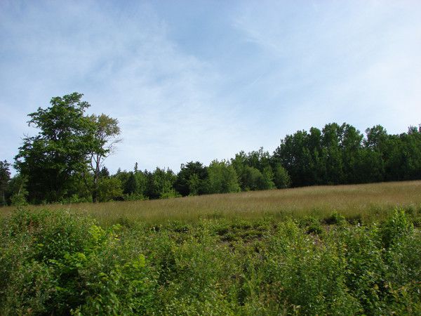 the east river valley 15106 237