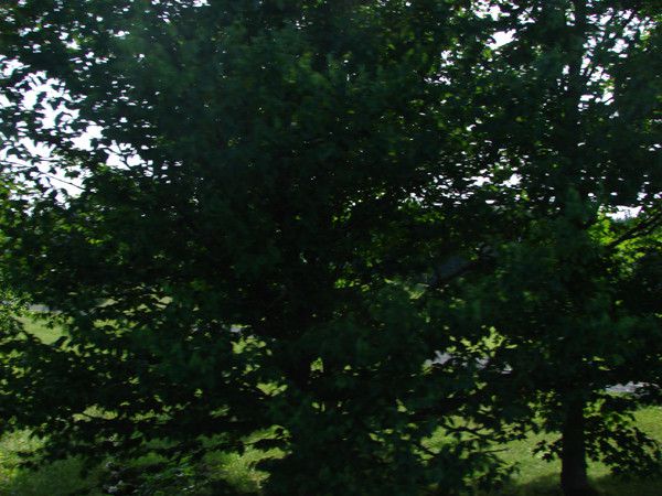 the east river valley 16015 246