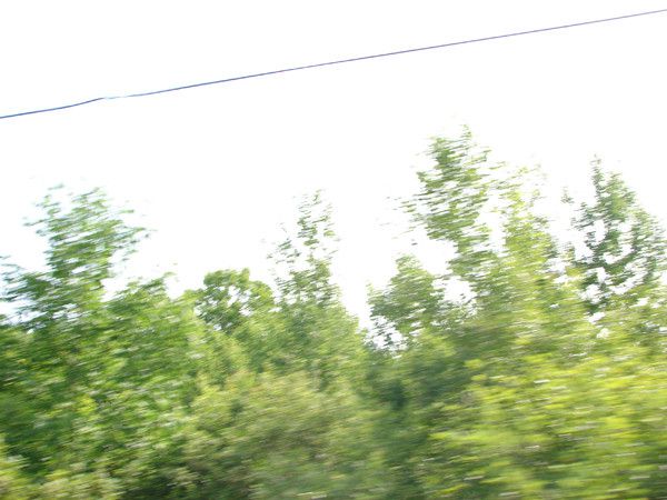 the east river valley 16116 231