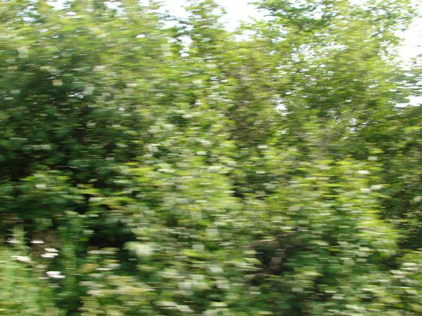 the east river valley 16605 219